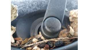 MOTOR LIMPIA DELANTERO RENAULT EXPRESS 1.5 DCI BLUE (75CV) DE 2023 - D.4730102