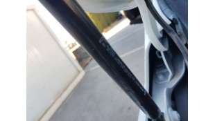 AMORTIGUADORES CAPO RENAULT EXPRESS 1.5 DCI BLUE (75CV) DE 2023 - D.4730156