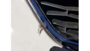 REJILLA DELANTERA SEAT IBIZA 1.2 TSI (86 CV) DE 2013 - D.4741576 2