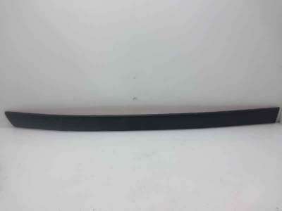 MOLDURA PUERTA DELANTERA DERECHA FORD GALAXY (1995-2006) - L.330937 / 1109998