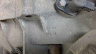 FARO DERECHO RENAULT CLIO I (1991-1996) 1.2 (B/C57R) 54CV 1171CC - L.404356 / 086197