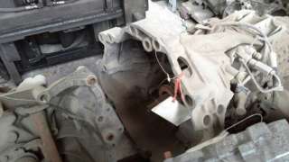 AMORTIGUADORES MALETERO / PORTON CITROEN XANTIA (1993-2001) 1.6 I 88CV 1580CC - L.460280 / 8731C3