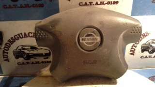 PILOTO TRASERO IZQUIERDO RENAULT MEGANE I (2001-2003) 1.9 DTI (BA1U) 80CV 1870CC - L.507295 / 7700428320