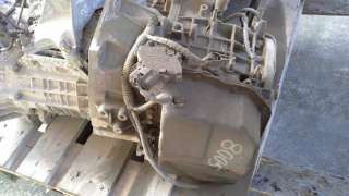 PILOTO TRASERO DERECHO FIAT PUNTO (1999-2006) 1.2 16V 80 (188.233, .235, .253, .255, .333, .353, .639,... 80CV 1242CC - L.5