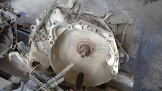 PILOTO TRASERO DERECHO FIAT PUNTO (1999-2006) 1.2 16V 80 (188.233, .235, .253, .255, .333, .353, .639,... 80CV 1242CC - L.5