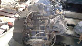PILOTO TRASERO DERECHO FIAT PUNTO (1999-2006) 1.2 16V 80 (188.233, .235, .253, .255, .333, .353, .639,... 80CV 1242CC - L.5
