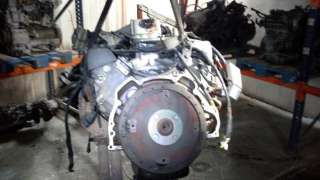 AMORTIGUADOR TRASERO DERECHO FIAT PUNTO (1993-1999) 75 1.2 73CV 1242CC - L.577432 / DT676