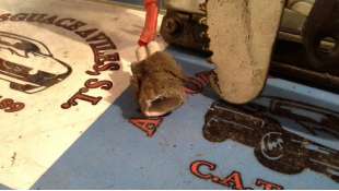 CENTRALITA SENSORES APARCAMIENTO SAAB 9-3 (2004-2015) 1.9 TID 120CV 1910CC - L.985051 / 0263004033 2