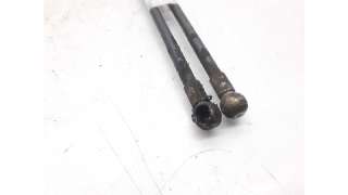 AMORTIGUADORES MALETERO / PORTON OPEL VECTRA B (1995-2002) 1.6 I 16V (F19) 100CV 1598CC - L.5892247 / GN530500