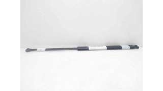 AMORTIGUADORES MALETERO / PORTON PEUGEOT 406 (1998-2001) 2.0 HDI 110 109CV 1997CC - L.6056259 / 9630662480