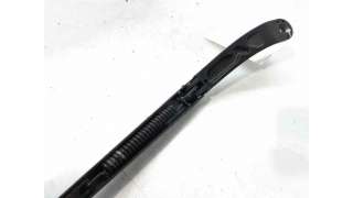 BRAZO LIMPIA DELANTERO IZQUIERDO CITROEN C4 II (2009-) 1.4 VTI 95 95CV 1397CC - L.6906759 / 9687490380