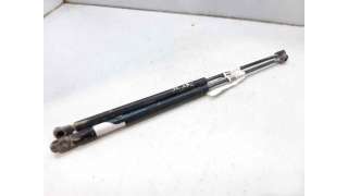 AMORTIGUADORES MALETERO / PORTON RENAULT MEGANE II (2005-2009) 1.9 DCI 131CV 1870CC - L.6939404 / 08550550