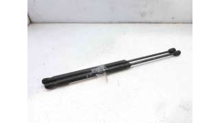 AMORTIGUADORES MALETERO / PORTON FIAT PUNTO (1999-2010) 1.2 60 (188.030, .050, .130, .150, .230, .250) 60CV 1242CC - L.6957