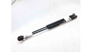 AMORTIGUADORES MALETERO / PORTON CITROEN C3 I (2002-) 1.4 HDI 68CV 1398CC - L.6962901 / 8731G3