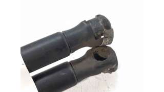AMORTIGUADORES MALETERO / PORTON CITROEN C3 I (2002-) 1.4 HDI 68CV 1398CC - L.6962901 / 8731G3