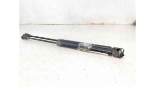 AMORTIGUADORES MALETERO / PORTON RENAULT CLIO II (1999-2005) 1.9 DTI (B/CB0U) 80CV 1870CC - L.6969236 / 7700842256