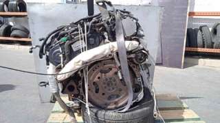 PORTON TRASERO DERECHO SEAT INCA (1995-2003) 1.9 D 64CV 1896CC - L.7000413 / 6K9827146A