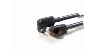 AMORTIGUADORES MALETERO / PORTON RENAULT CLIO II (1998-2010) 1.2 (BB0A, BB0F, BB10, BB1K, BB28, BB2D, BB2H, CB0A,... 58CV 1
