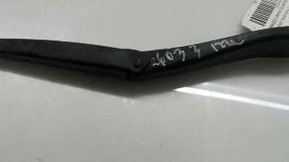 BRAZO LIMPIA DELANTERO IZQUIERDO RENAULT CLIO V (2019-) 1.0 TCE 100 (B7MT) 101CV 999CC - L.7055333 / 288813173R