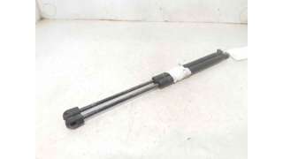 AMORTIGUADORES MALETERO / PORTON CITROEN C3 I (2002-) 1.1 I 60CV 1124CC - L.7115997 / 8731G3