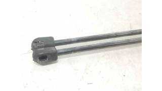 AMORTIGUADORES MALETERO / PORTON CITROEN C3 I (2002-) 1.1 I 60CV 1124CC - L.7115997 / 8731G3