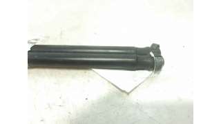 AMORTIGUADORES MALETERO / PORTON CITROEN C3 I (2002-) 1.1 I 60CV 1124CC - L.7115997 / 8731G3