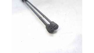 AMORTIGUADORES MALETERO / PORTON CITROEN XSARA (1999-2005) 2.0 HDI 90 90CV 1997CC - L.7183204 / 9621907680