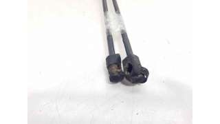 AMORTIGUADORES MALETERO / PORTON AUDI A3 (1997-2001) 1.9 TDI 110CV 1896CC - L.7192315 / 8D9827552F