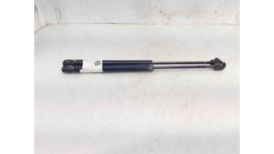 AMORTIGUADORES MALETERO / PORTON RENAULT CLIO II (1998-2005) 1.9 D (B/CB0E) 64CV 1870CC - L.7196494 / 7700842256