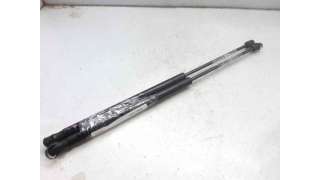 AMORTIGUADORES CAPO RENAULT MEGANE II (2005-2008) 2.0 DCI (BM1K, CM1K) 150CV 1995CC - L.7198762 / 8200135264