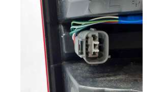 PILOTO TRASERO IZQUIERDO OTROS VEHICULOS - L.7244048 / 815600K291