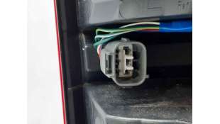 PILOTO TRASERO IZQUIERDO OTROS VEHICULOS - L.7244051 / 815600K291 2