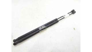 AMORTIGUADORES MALETERO / PORTON HYUNDAI ATOS (2003-2008) 1.1 58CV 1086CC - L.7317679 / 8178005520