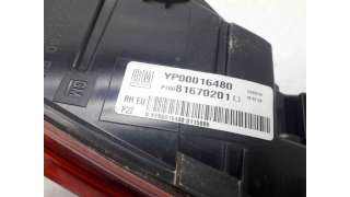 PILOTO TRASERO DERECHO INTERIOR OPEL GRANDLAND X (2017-) 1.2 (75) 131CV 1199CC - L.7322376 / 81670201