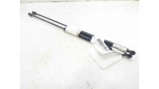 AMORTIGUADORES MALETERO / PORTON CITROEN XSARA (1998-2005) 1.9 D 70CV 1868CC - L.7338903 / 8731E3