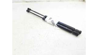 AMORTIGUADORES MALETERO / PORTON RENAULT CLIO II (1999-2005) 1.9 DTI (B/CB0U) 80CV 1870CC - L.7343256 / 7700842256
