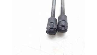 AMORTIGUADORES MALETERO / PORTON RENAULT CLIO II (1999-2005) 1.9 DTI (B/CB0U) 80CV 1870CC - L.7343256 / 7700842256