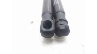 AMORTIGUADORES MALETERO / PORTON CITROEN C3 I (2002-) 1.1 I 60CV 1124CC - L.7375314 / 8731G3