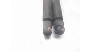 AMORTIGUADORES MALETERO / PORTON FORD FOCUS (1998-2004) 1.8 TURBO DI / TDDI 90CV 1753CC - L.7456394 / 1313218