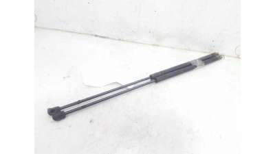 AMORTIGUADORES MALETERO / PORTON RENAULT CLIO II (1998-2010) 1.2 (BB0A, BB0F, BB10, BB1K, BB28, BB2D, BB2H, CB0A,... 58CV 1
