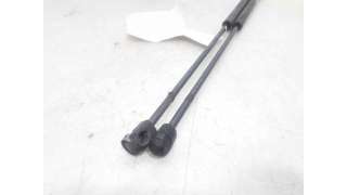 AMORTIGUADORES MALETERO / PORTON RENAULT CLIO II (1998-2010) 1.2 (BB0A, BB0F, BB10, BB1K, BB28, BB2D, BB2H, CB0A,... 58CV 1