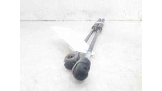 AMORTIGUADORES MALETERO / PORTON FIAT BRAVO II (2007-2014) 1.9 D MULTIJET 120CV 1910CC - L.7477679 / 0051812267