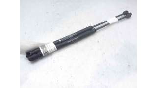 AMORTIGUADORES MALETERO / PORTON FIAT PUNTO (2003-2012) 1.4 95CV 1368CC - L.7480019 / 0046744596