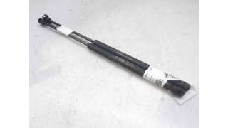 AMORTIGUADORES MALETERO / PORTON FIAT PUNTO (2003-2012) 1.4 95CV 1368CC - L.7480019 / 0046744596