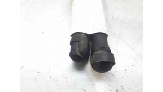 AMORTIGUADORES MALETERO / PORTON RENAULT MEGANE II RANCHERA FAMILIAR (2005-2009) 1.9 DCI 131CV 1870CC - L.7481522 / 8200119