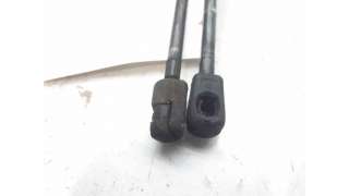 AMORTIGUADORES MALETERO / PORTON AUDI A3 (1997-2001) 1.9 TDI 110CV 1896CC - L.7510217 / 08510350