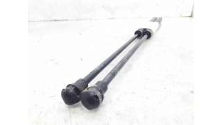 AMORTIGUADORES MALETERO / PORTON PEUGEOT 206 FASTBACK (2001-2009) 1.4 HDI ECO 70 68CV 1398CC - L.7510773 / 8731E6