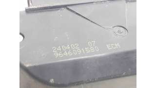 CERRADURA MALETERO / PORTON CITROEN XSARA COUPÉ (2000-2005) 1.6 16V 109CV 1587CC - L.7516016 / 9646091580