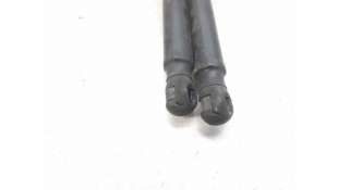 AMORTIGUADORES MALETERO / PORTON HYUNDAI ACCENT II SEDÁN (2002-2005) 1.5 CRDI 82CV 1493CC - L.7524588 / 8177025561 2