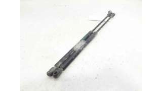 AMORTIGUADORES MALETERO / PORTON RENAULT CLIO II (1998-2010) 1.2 (BB0A, BB0F, BB10, BB1K, BB28, BB2D, BB2H, CB0A,... 58CV 1